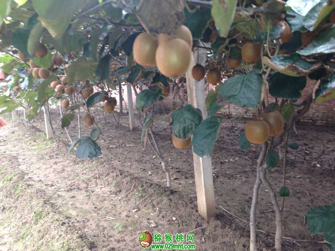 PG国际官方网站图片