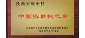 “PG国际之乡”周至PG国际猕猴桃获取荣誉