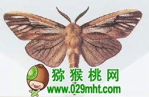 PG国际官方网站图片