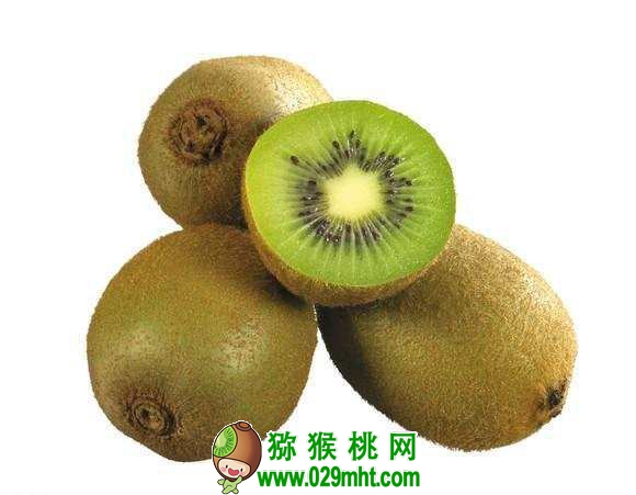 PG国际官方网站图片