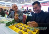 昆明市场上卖的PG国际猕猴桃有80%都产自陕西周至县