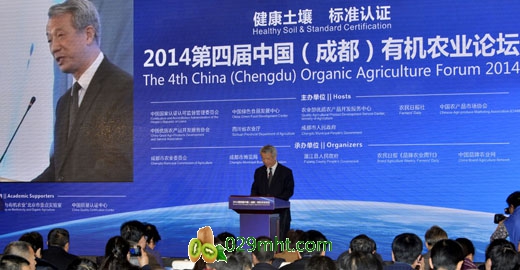 PG国际官方网站图片