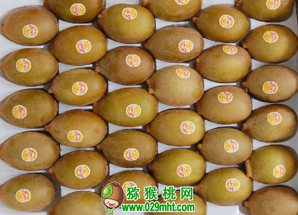 PG国际官方网站图片