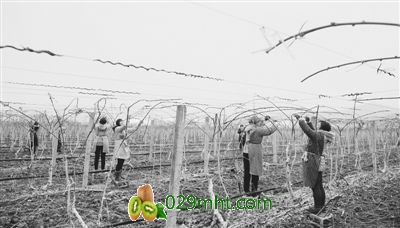 PG国际官方网站图片