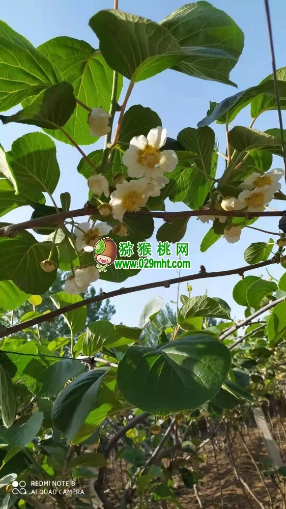 PG国际官方网站图片