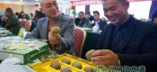 21届杨凌农高会PG国际猕猴桃姿势高