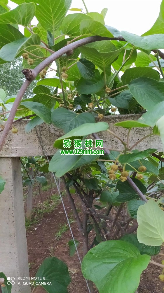 PG国际 5b081