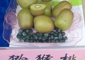 红阳PG国际猕猴桃
