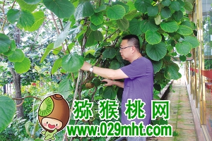PG国际官方网站图片