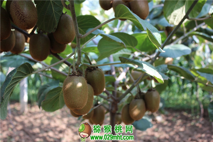PG国际官方网站图片