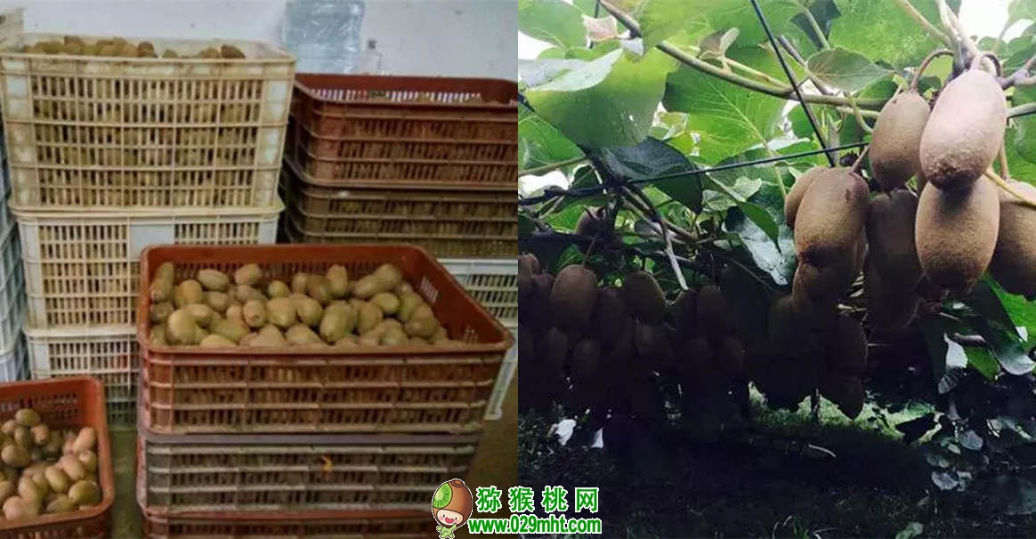 PG国际官方网站图片