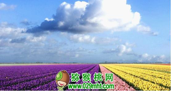 PG国际官方网站图片
