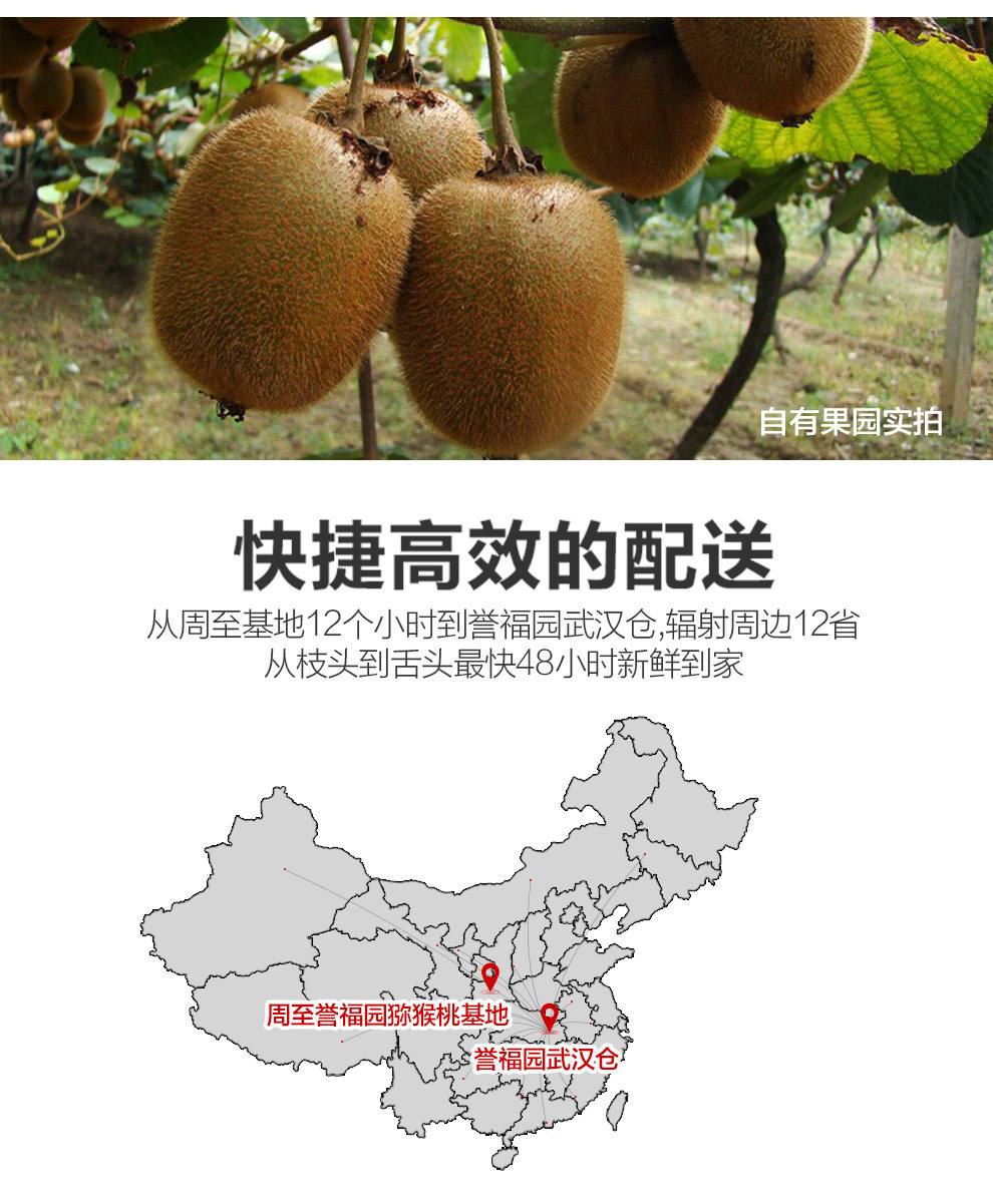 PG国际 881a8