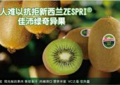 周至PG国际猕猴桃家庭农场
