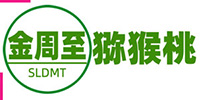 PG国际