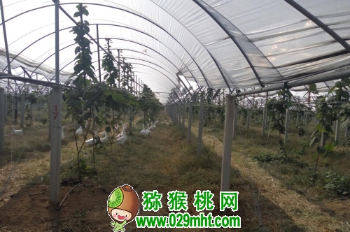 PG国际官方网站图片