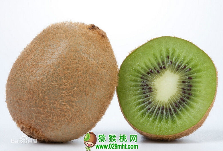 PG国际官方网站图片