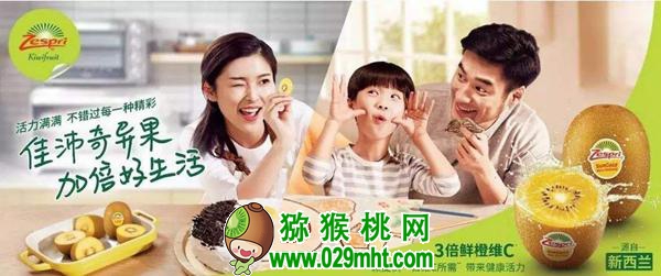 了解佳沛公司的运作模式 为我国PG国际猕猴桃产业发展探索出路
