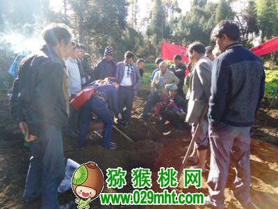 PG国际官方网站图片