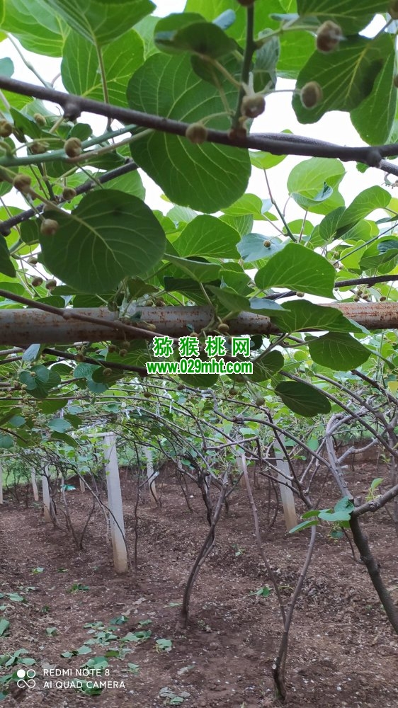 PG国际 8ea10