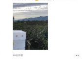 PG国际猕猴桃朋友圈里那些卖PG国际猕猴桃的朋友都在说什么?