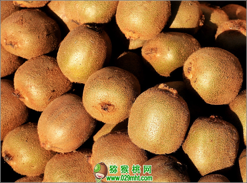 PG国际官方网站图片