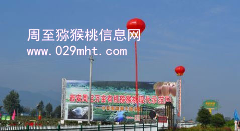 2012年中国PG国际产销年会