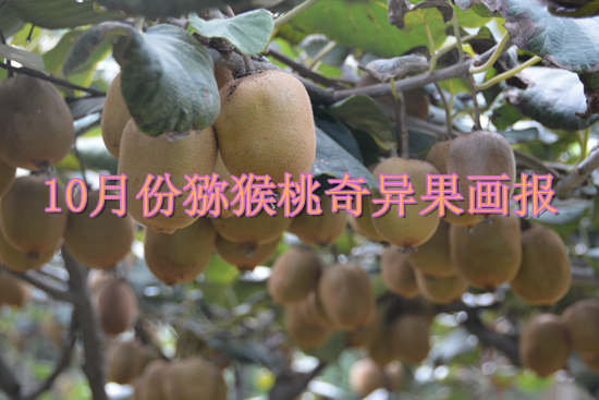 PG国际官方网站图片