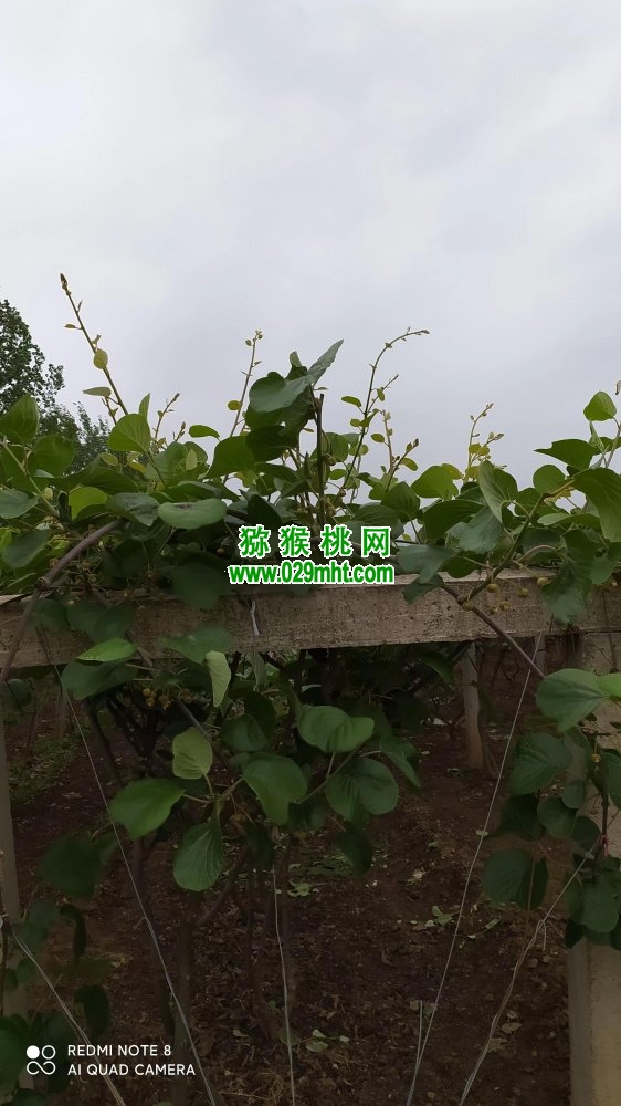 PG国际 5d8dc