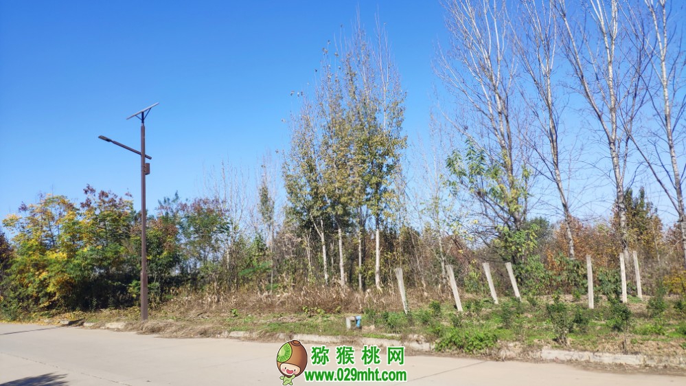 PG国际 5e5e3