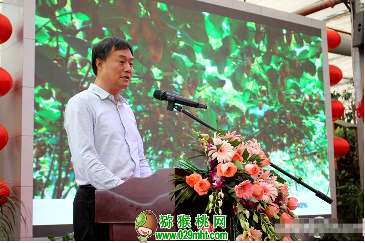 PG国际官方网站图片