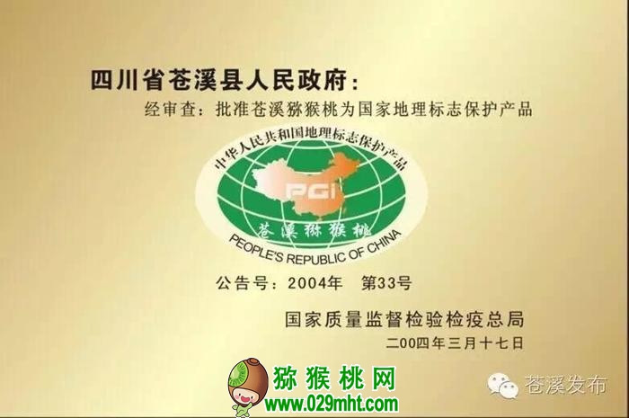 PG国际官方网站图片