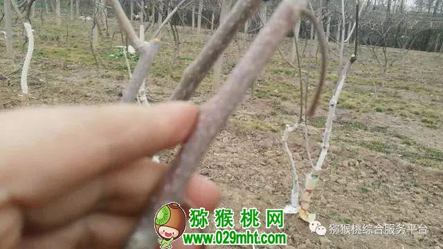 PG国际官方网站图片