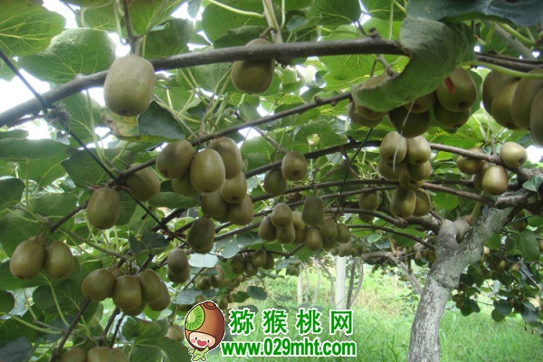 PG国际官方网站图片