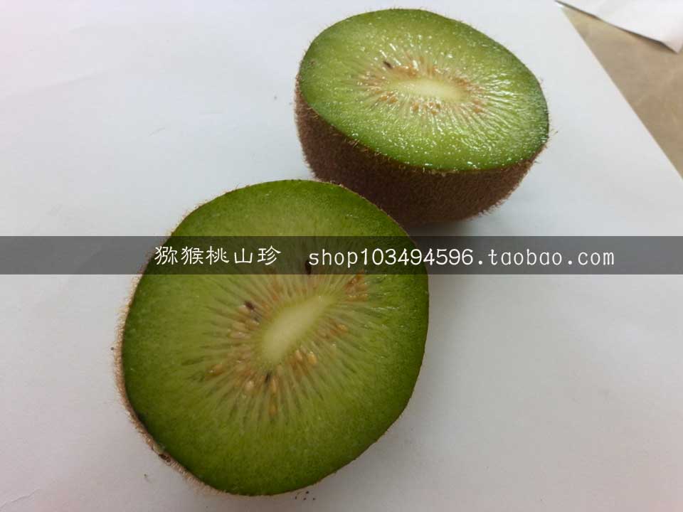PG国际猕猴桃