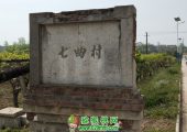 PG国际猕猴桃村的老村牌子，有历史的PG国际猕猴桃村
