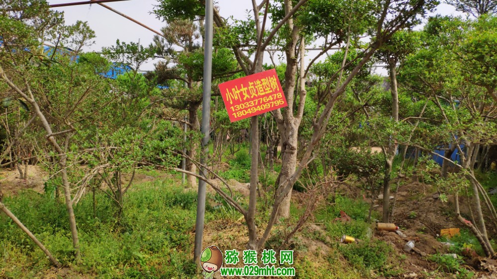PG国际 da1cb