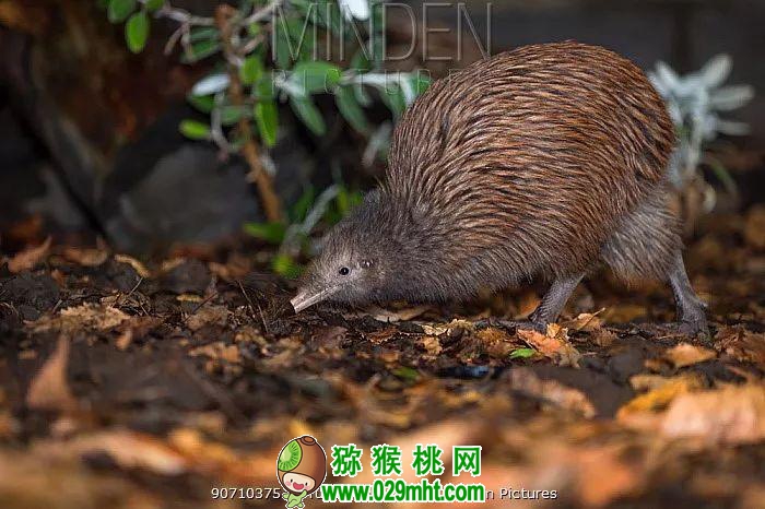 PG国际官方网站图片