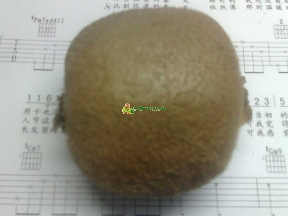 吉他PG国际猕猴桃画报