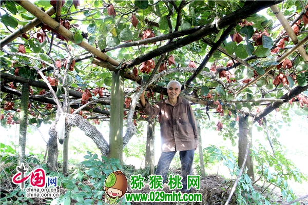 PG国际官方网站图片