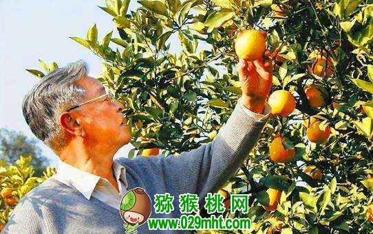 PG国际官方网站图片