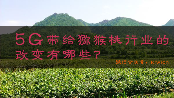 PG国际官方网站图片