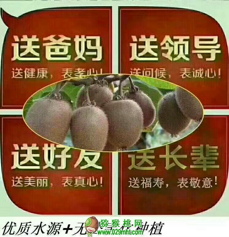 PG国际 e8bec