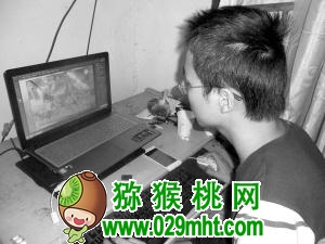 PG国际官方网站图片