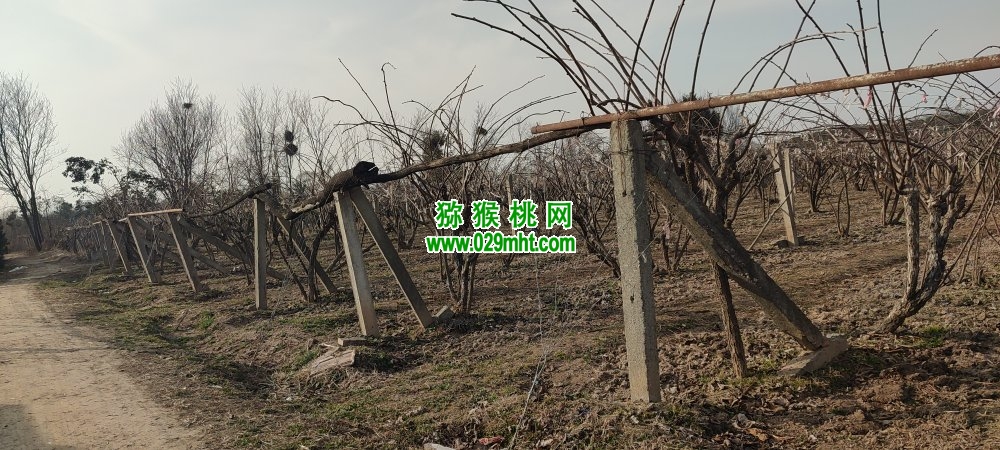 PG国际 43bac