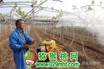 PG国际官方网站图片