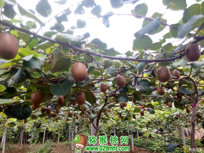 PG国际官方网站图片