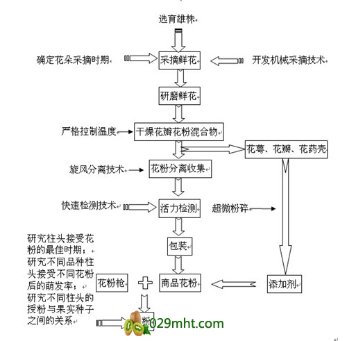 PG国际官方网站图片