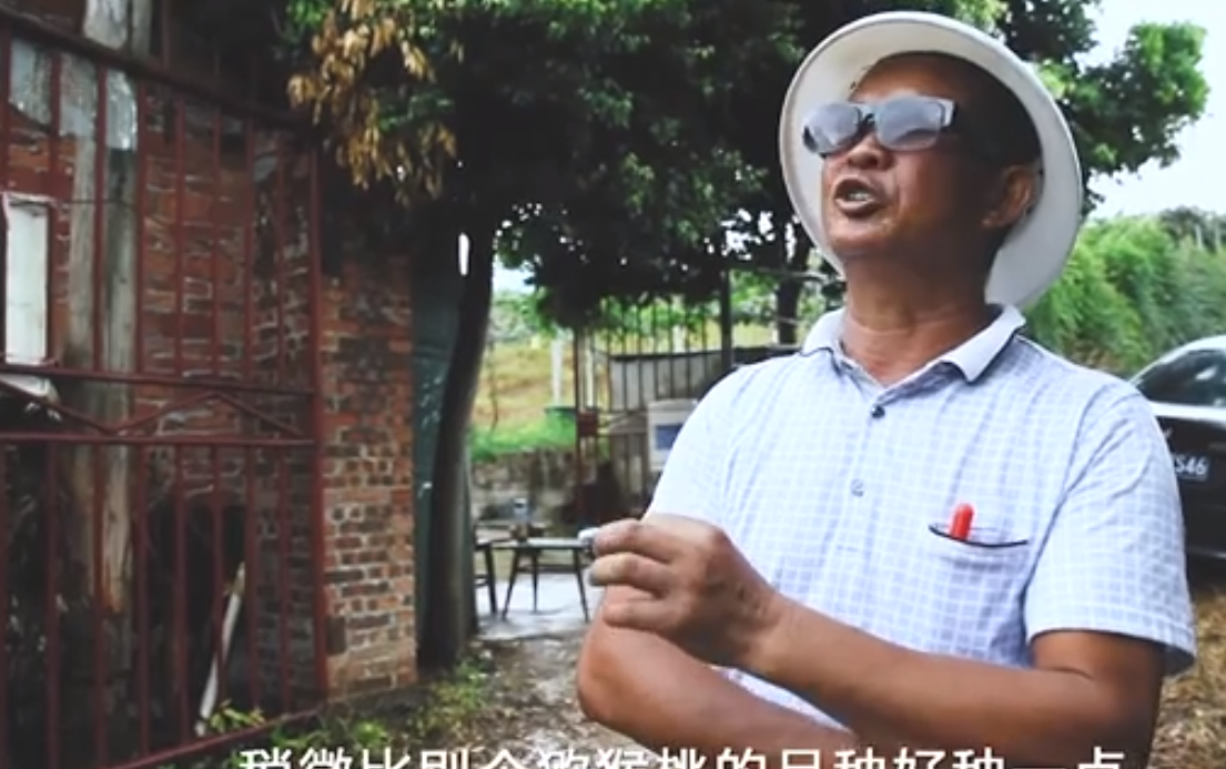 PG国际官方网站图片