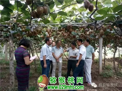 PG国际官方网站图片